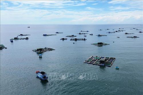 Phát triển kinh tế biển xanh cho Việt Nam - Lời khuyên từ chuyên gia