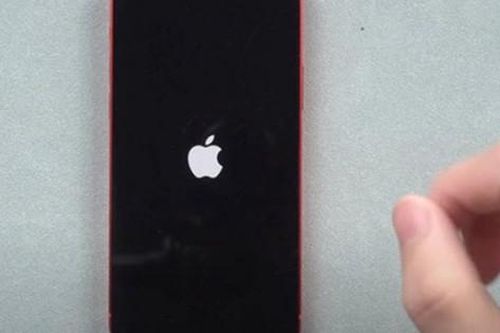 iPhone bỗng dưng 'treo táo' và chớp nháy liên tục? Đây là cách 'cấp cứu' tại nhà