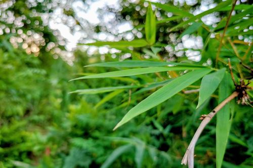 Bản tin Dự báo thời tiết ngày 15/6/2025