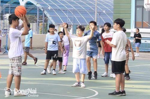 Để trẻ vui học hè