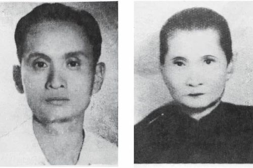 Dương Tử Giang - trẻ mãi với quê hương (Bài 1)