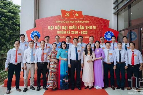 Đảng bộ Trường Đại học Khoa học: Đổi mới sáng tạo, nâng cao chất lượng đào tạo toàn diện