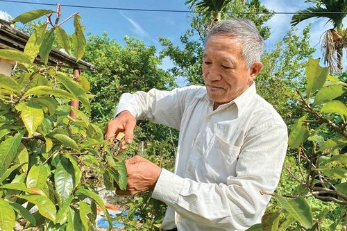 Nêu cao tinh thần 'Tuổi cao - Gương sáng'