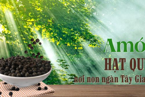 Amót - Hạt quý nơi non ngàn Tây Giang