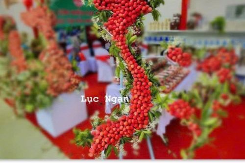 Ngày hội Vải thiều Bầu Tiên 2025: Sắc màu lễ hội mùa vải chín tại Bắc Giang