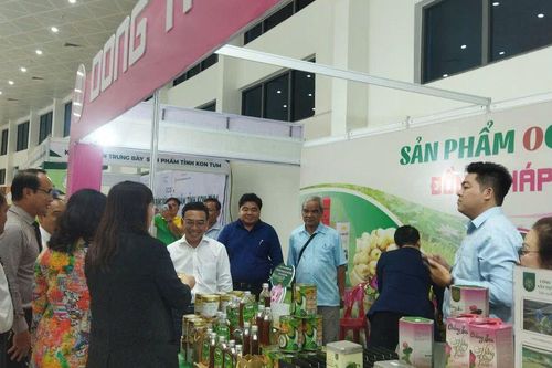Khai mạc Hội chợ Hàng Việt Đà Nẵng 2025: Tôn vinh sản phẩm OCOP, kết nối tiêu dùng vùng miền