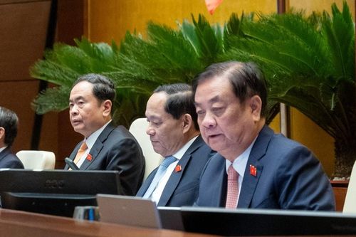 Tối giản đăng ký hợp quy, chỉ cần thông báo trên cơ sở dữ liệu quốc gia về tiêu chuẩn, đo lường, chất lượng