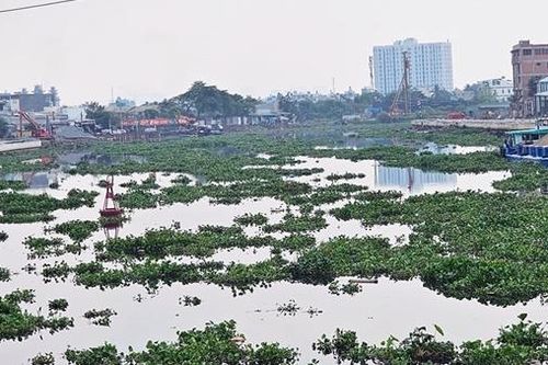 Xung quanh việc chấm thầu và trúng nhiều gói thầu sát giá ở Dự án kênh Tham Lương