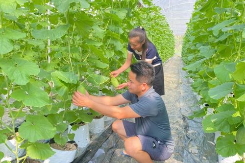 Khát vọng làm giàu trên vùng đất khó của nông dân Ngụy Văn Công