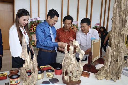 Chuyện xưa, chuyện nay ở xứ trầm hương: Chuyện nay ở Làng nghề xoi trầm Phú Hội 1 (kỳ cuối)