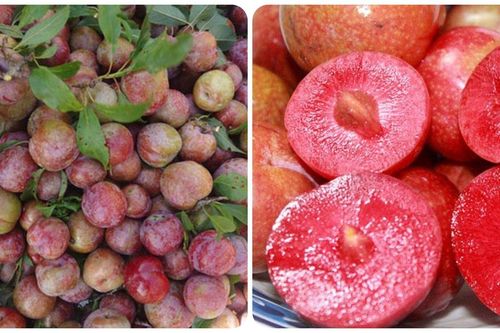 5 nhóm người nên hạn chế ăn quả mận
