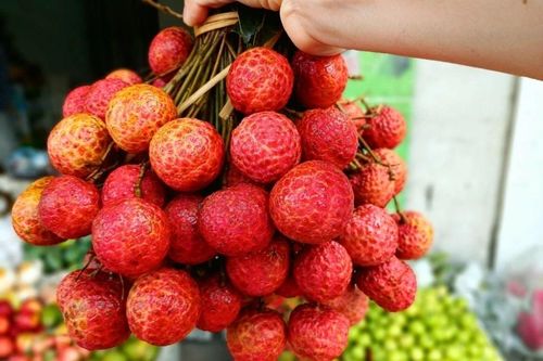 Vải mua về đừng vội cất tủ lạnh: Làm cách này tươi lâu hơn, để cả tháng vẫn ngọt mọng
