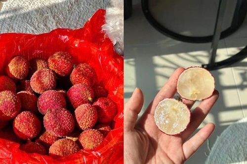 Vải không hạt Trung Quốc gây sốt, dân sành ăn chi tiền triệu để thưởng thức