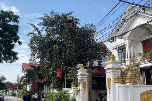 ' Ai tóc đê…'