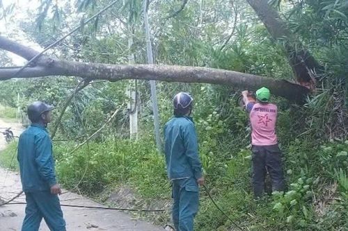 Quảng Nam: Bộ Chỉ huy quân sự tỉnh hỗ trợ người dân khắc phục hậu quả bão số 1