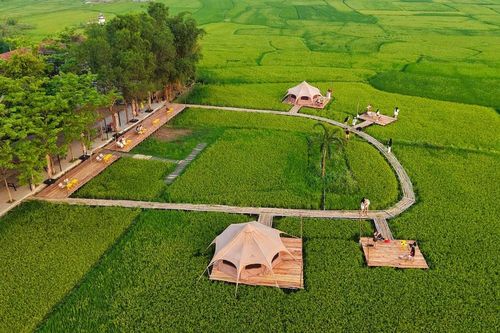 Quảng Bình: Độc đáo trải nghiệm du lịch giữa hương lúa đồng quê