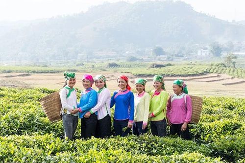 Thu hẹp bất bình đẳng kép, kiến tạo phát triển bền vững ở những vùng dân tộc thiểu số