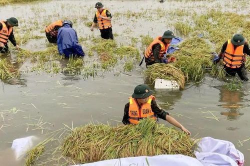 Miền Trung nỗ lực khắc phục hậu quả mưa lũ