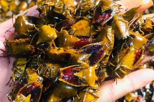 Đặc sản 'rùng mình' gần nửa triệu đồng/kg vẫn 'cháy hàng'