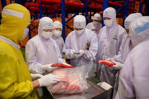 Kiểm tra nhà máy chế biến sản phẩm thịt của công ty C.P tại Hà Nội