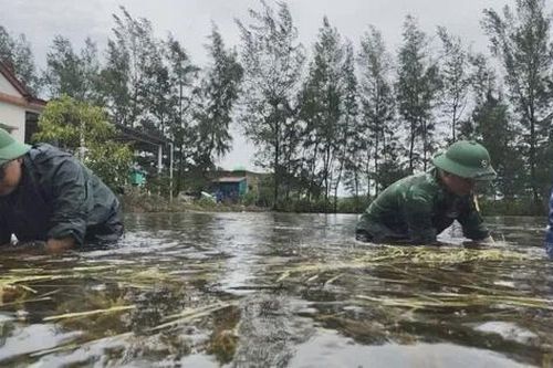 Bộ đội giúp người dân vùng biên khắc phục hậu quả mưa lũ