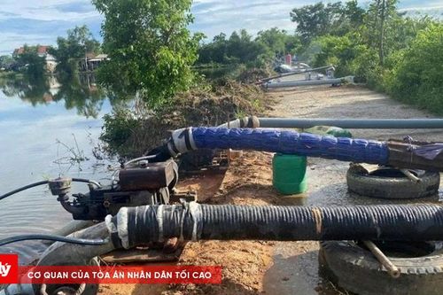 Nỗ lực tiêu úng cứu lúa kịp thời