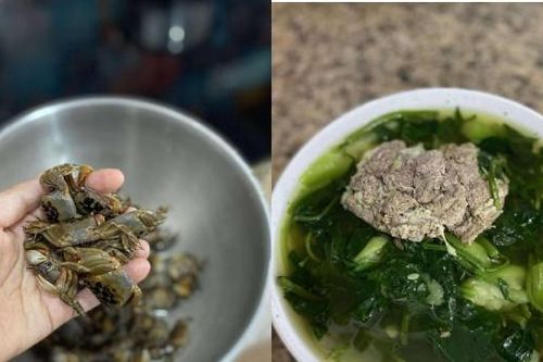 Đặc sản chui ra từ đất, đêm soi đèn 1 tiếng bắt được vài kg, nấu canh mát rượi