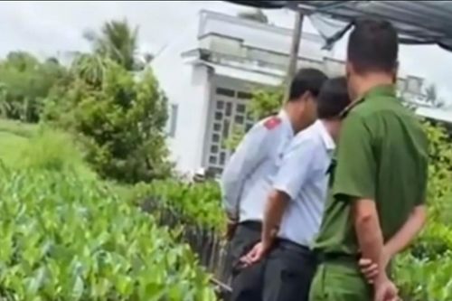 Vụ hỏi 'chứng chỉ ghép cây' ở Hậu Giang, lãnh đạo Sở Nông nghiệp và Môi trường nói gì?