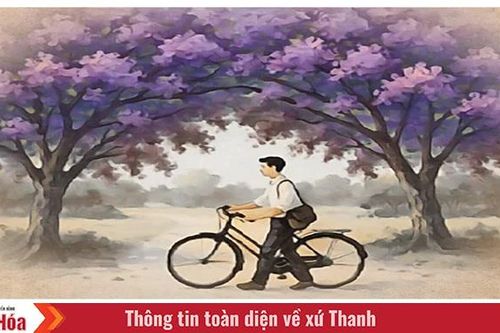 Bằng lăng ngày cũ