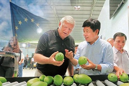 '3 gọng kìm' buộc doanh nghiệp xuất khẩu nông sản, thực phẩm sang EU phải vượt qua