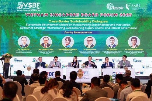 TS. Cấn Văn Lực: Doanh nghiệp cần 'VUCA mới' để biến thách thức phát triển bền vững thành lợi thế cạnh tranh