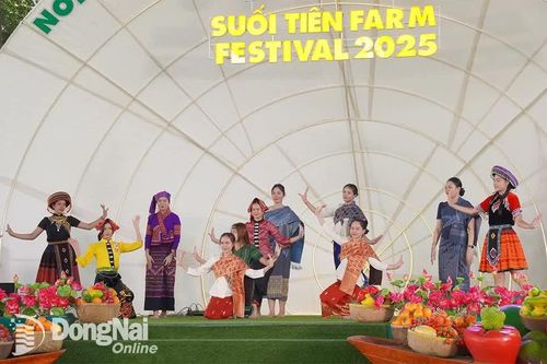 Nhiều hoạt động giao lưu văn hóa - hữu nghị tại Lễ hội trái cây Nam Bộ