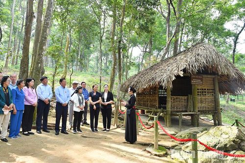 Đoàn ĐBQH các khóa thành phố Hồ Chí Minh, tỉnh Bến Tre và Bình Dương về nguồn tại Tuyên Quang
