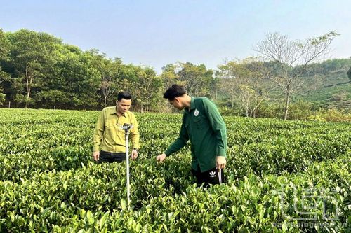 Sức sống mới ở Phú Lạc