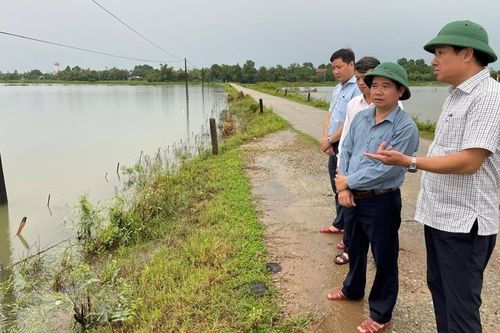 Khẩn trương tiêu úng, cứu lúa