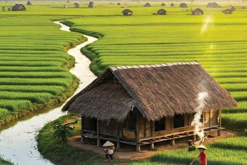 Khói đốt đồng