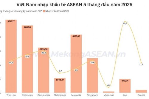 Nhập siêu từ ASEAN tăng vọt 67% trong 5 tháng đầu năm 2025