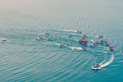 Lễ hội cầu ngư tại Bình Định: Nét đẹp tâm linh bên sóng nước