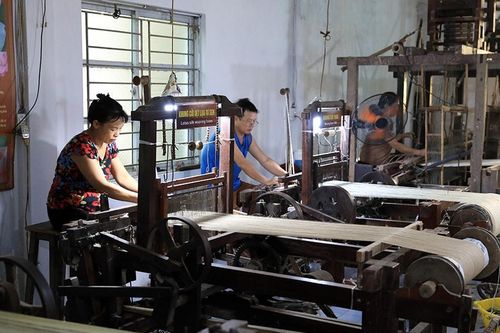 Phát triển sản phẩm OCOP từ vùng chuyên canh của hợp tác xã:Nâng tầm giá trị nông sản Thủ đô