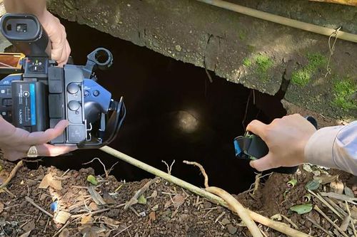 Phát hiện hố sụt lún trong vườn nhà dân ở Quảng Trị