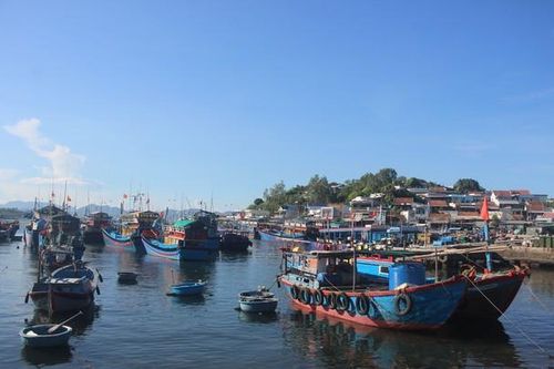 Điều đặc biệt ở làng đảo Trí Nguyên