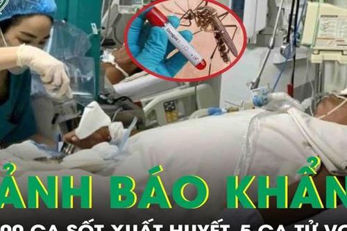 23.000 ca sốt xuất huyết, 5 ca tử vong, Bộ Y tế phát cảnh báo khẩn