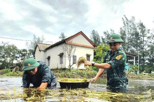 Khẩn trương khắc phục hậu quả bão số 1