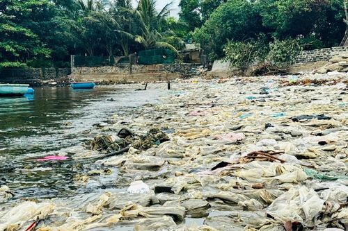 Quảng Ngãi: Rác thải tràn ngập bờ biển An Vĩnh