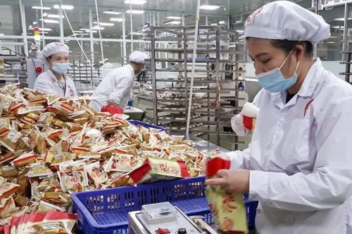 Giải pháp nào bảo vệ thương hiệu Việt trong quá trình xuất khẩu