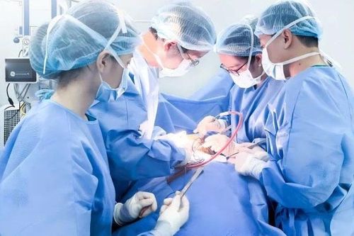Loại bỏ khối bướu giáp khổng lồ cho bệnh nhân