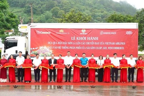 Vietnam Airlines đưa mận hậu Sơn La lên thực đơn trên không