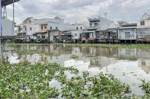 Giám sát chất lượng nước vùng Tứ giác Long Xuyên
