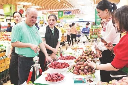 Tín hiệu tích cực từ phong trào tiêu dùng xanh