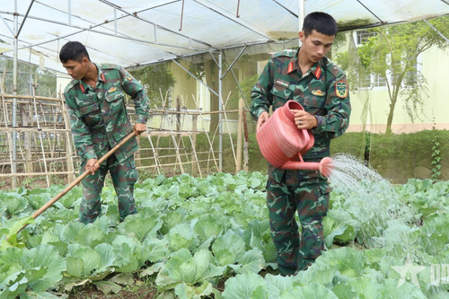 Bộ đội vùng biên giỏi tăng gia sản xuất